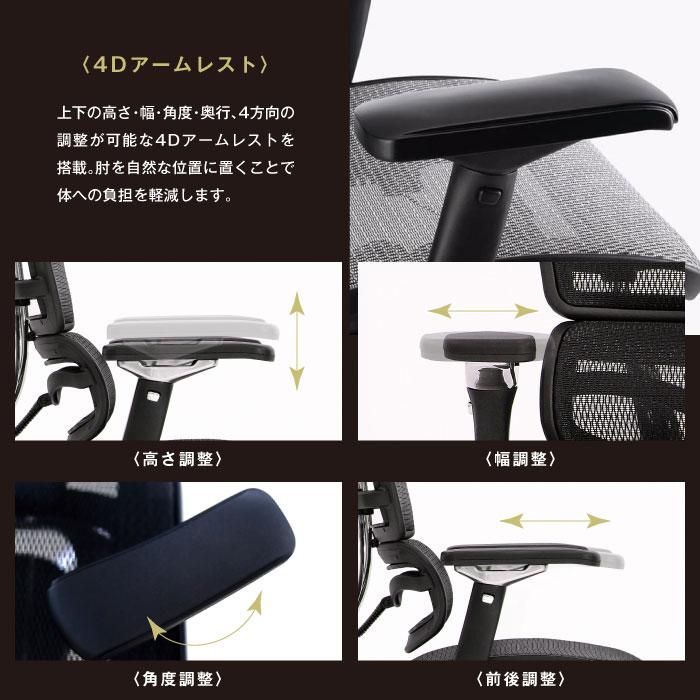 エルゴヒューマンベーシック Ergohuman Basic オフィスチェア 椅子 高機能チェア メッシュチェア 【EYCIYC】 ヘッドレストなし EH-LAM