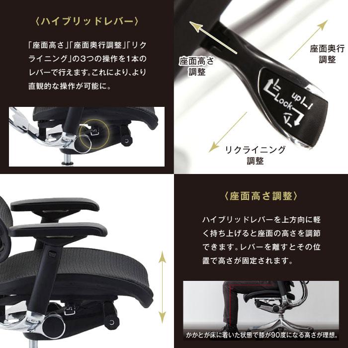 エルゴヒューマンベーシック Ergohuman Basic オフィスチェア 椅子 高機能チェア メッシュチェア 【EYCIYC】 ヘッドレストなし EH-LAM
