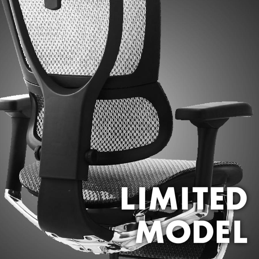 エルゴヒューマン フィット2 ライト Ergohuman FIT2 Lite 正規品 最長5年保証 ジャケットハンガー付 高機能チェア PCチェア ヘッドレスト 腰痛対策 FIT2-Lite | 関家具 | 02