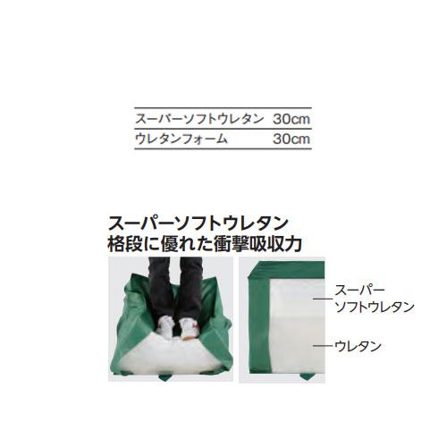 法人限定 エバーマット 一枚物 エバニュー ソフトメッシュマット 幅200×長さ300×厚さ60cm ポリエステル6号防水帆布 スーパーソフトウレタン 日本製 EGD352の画像