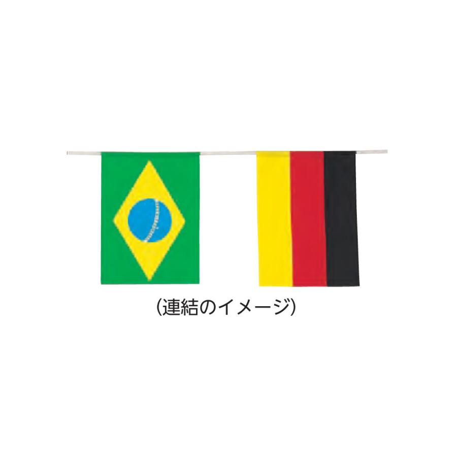 万国旗 20ヶ国セット エバニュー 連結式 全長約15.5m 縦45×横35cm 12mm