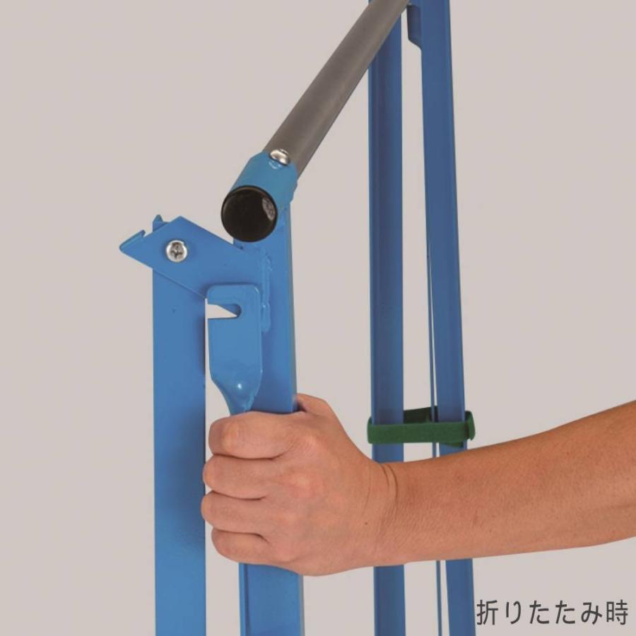 三角鉄棒 折りたたみ エバニュー 幅250×奥行120×高さ100cm スチール製 小学校低学年向け 屋内 屋外 子供用鉄棒 折りたたみ式鉄棒 鉄棒用品 設備 日本製 EKD368の画像