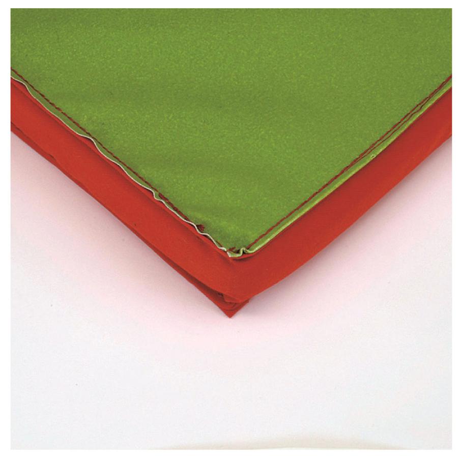 カラー体操マット エバニュー 幅120×長さ240×厚さ5cm 滑止付 再生ポリエステル4号帆布 抗菌 防臭加工 日本教材備品協会安全基準適合品 SG仕様品 日本製 EKM027 | ブランド登録なし | 01