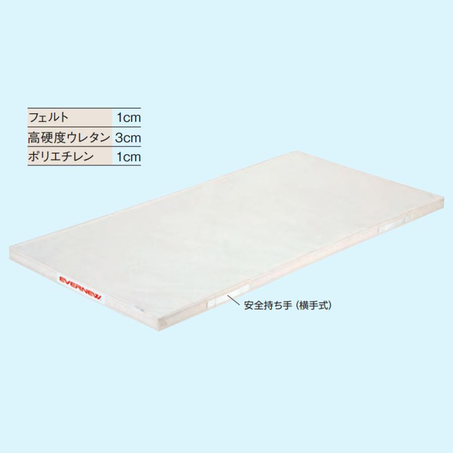 体操マット エバニュー 幅90×長さ180×厚さ5cm 9号帆布 裏面すべり止付 安全持ち手付 日本教材備品協会安全基準適合品 体育マット 体育用品 体操 日本製 EKM067の画像