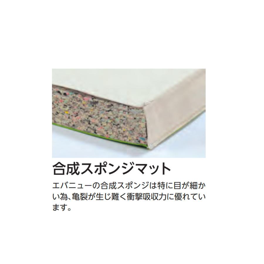 体操マット エバニュー 抗菌合成スポンジマット 幅90×長さ180×厚さ5cm 6号帆布 SG仕様品 日本教材備品協会安全基準適合品 マット 体育マット 日本製 EKM111の画像