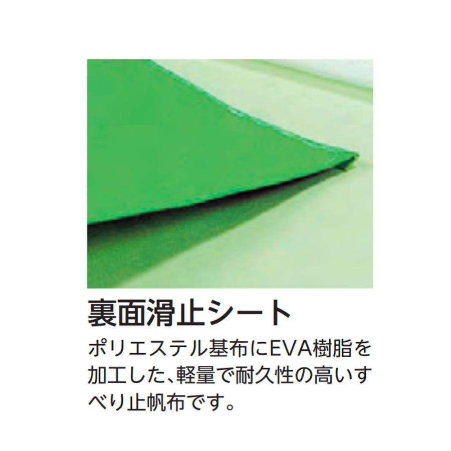 体操マット エバニュー 抗菌合成スポンジマット 滑止付 幅120×長さ600×厚さ5cm 6号帆布 SG仕様品 日本教材備品協会安全基準適合品 マット 体育 日本製 EKM155の画像