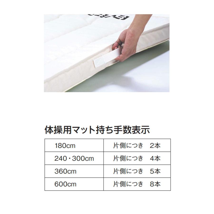 体操マット エバニュー 抗菌合成スポンジマット 滑止付 幅90×長さ180×厚さ6cm 6号帆布 SG仕様品 日本教材備品協会安全基準適合品 マット 体育 日本製 EKM171｜lookit｜04