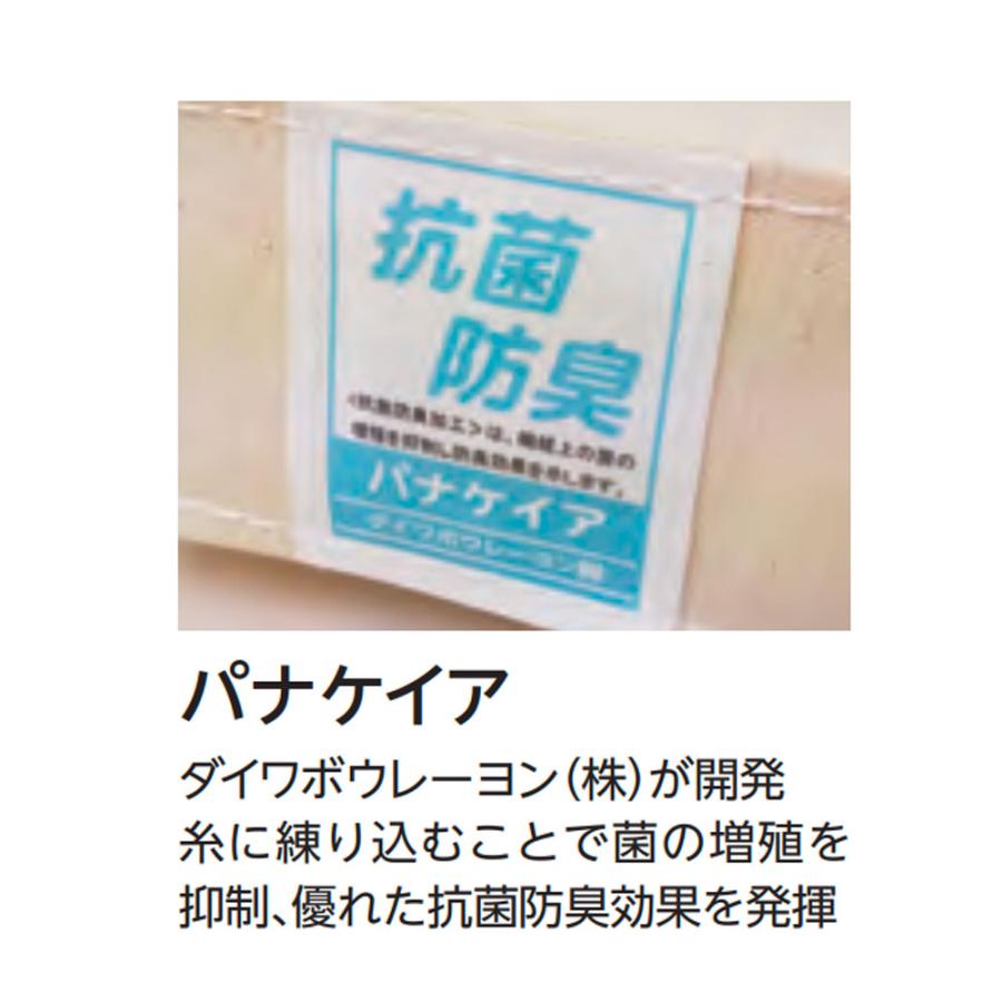 体操マット エバニュー 抗菌コンビマット 滑止付 幅120×長さ600×厚さ5cm 9号帆布 SG仕様品 日本教材備品協会安全基準適合品 体育用マット 体育 日本製 EKM185_4