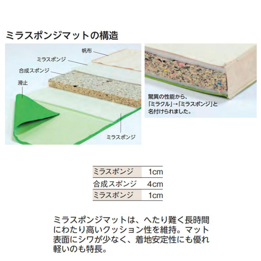 体操マット エバニュー 抗菌ミラスポンジマット 滑止付 幅150×長さ600×厚さ6cm 6号帆布 SG仕様品 日本教材備品協会安全基準適合品 マット 体育 日本製 EKM227_1