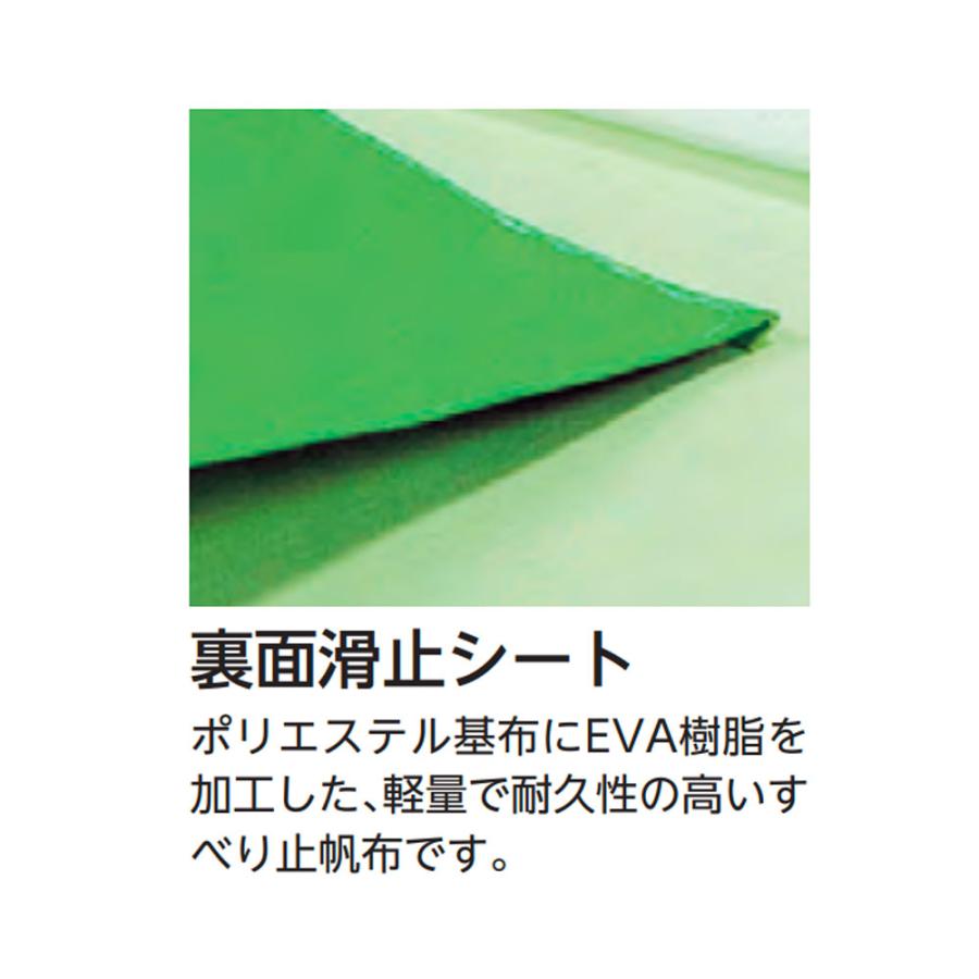 体操マット エバニュー 合成スポンジマット 滑止付 幅150×長さ600×厚さ5cm 9号帆布 SG仕様品 日本教材備品協会安全基準適合品 マット 体育 学校 日本製 EKM277の画像