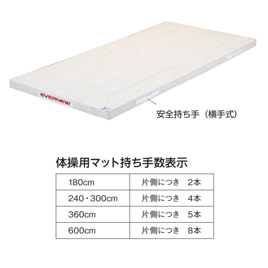 体操マット エバニュー 合成スポンジマット 滑止付 幅150×長さ600×厚さ5cm 9号帆布 SG仕様品 日本教材備品協会安全基準適合品 マット 体育 学校 日本製 EKM277の画像