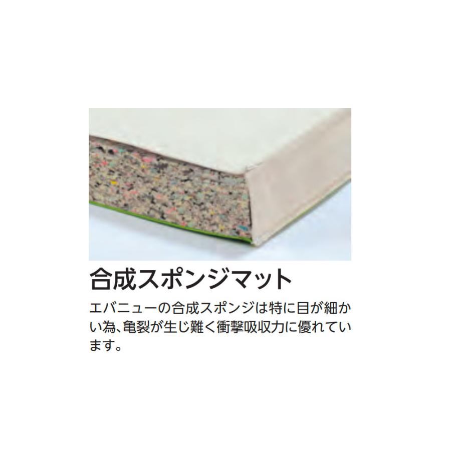 体操マット エバニュー 合成スポンジマット 滑止付 幅150×長さ600×厚さ5cm 9号帆布 SG仕様品 日本教材備品協会安全基準適合品 マット 体育 学校 日本製 EKM277の画像