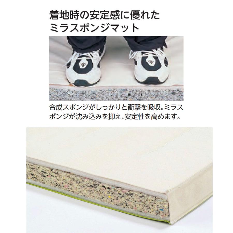 体操マット エバニュー ミラスポンジマット 滑止付 幅120×長さ600×厚さ5cm 6号帆布 SG仕様品 日本教材備品協会安全基準適合品 体育マット 体育 日本製 EKM464_2