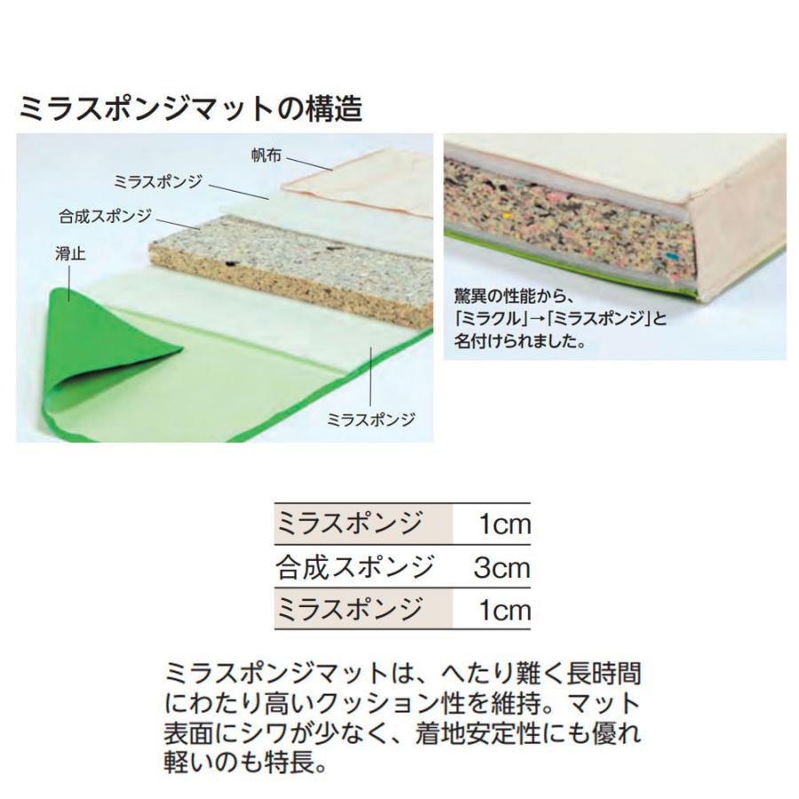 体操マット エバニュー ミラスポンジマット 滑止付 幅120×長さ600×厚さ5cm 9号帆布 SG仕様品 日本教材備品協会安全基準適合品 体育マット 体育 日本製 EKM474_1