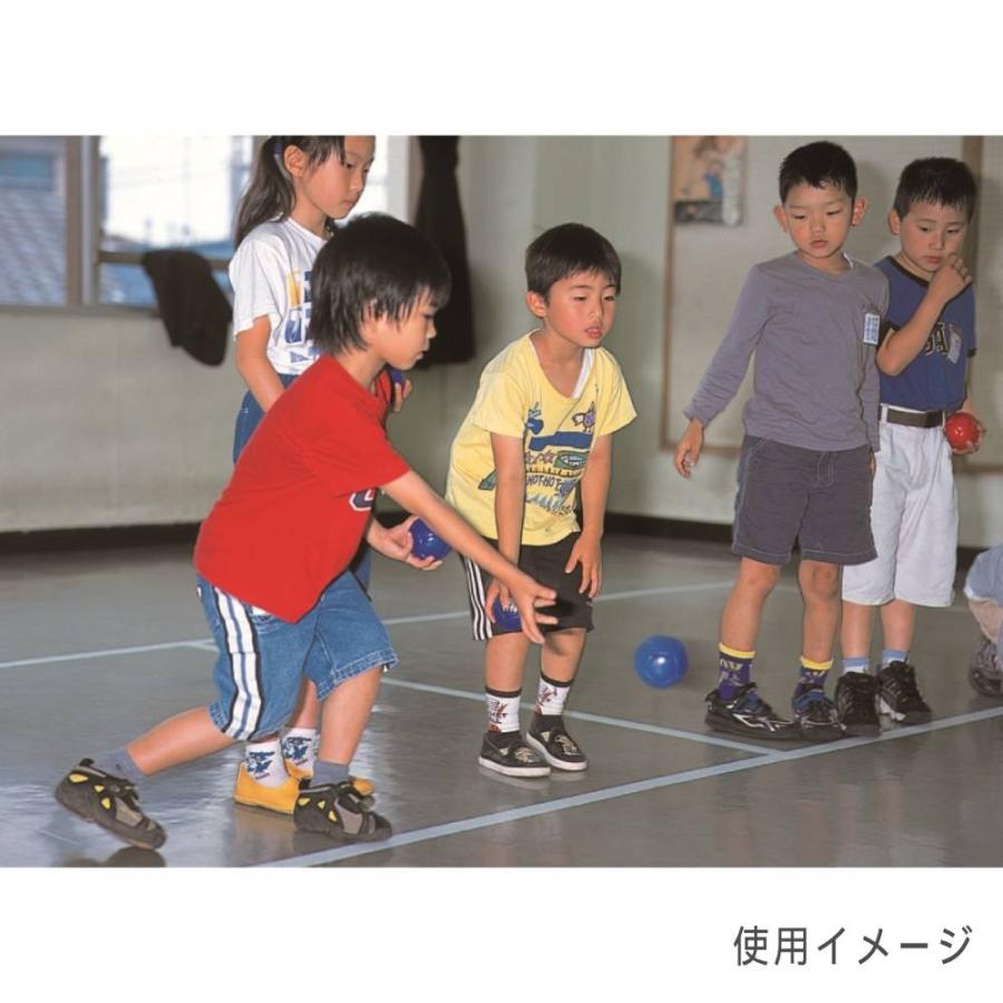 ボッチャボール セット エバニュー 直径8cm 合成皮革製外被 収納バッグ付 日本ユニバーサルボッチャ連盟公認 ボッチャ用品 ゲーム運動 福祉 学校 国産 ETE030_1