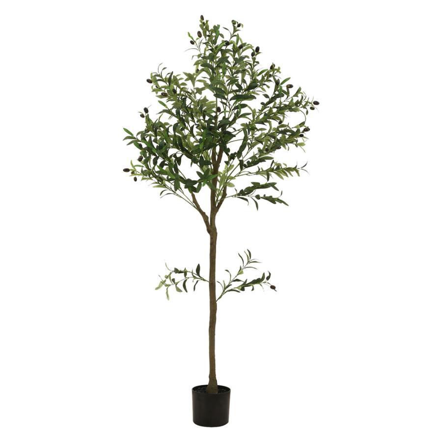 不二貿易（Fuji Boeki） フェイクグリーン オリーブ 幅750×奥行550×高