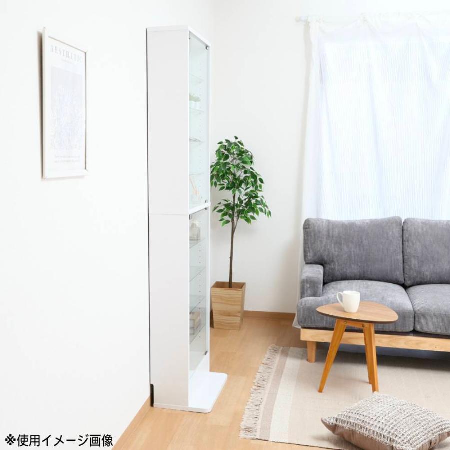 不二貿易（Fuji Boeki） コレクションラック TOR ハイタイプ 幅485×高