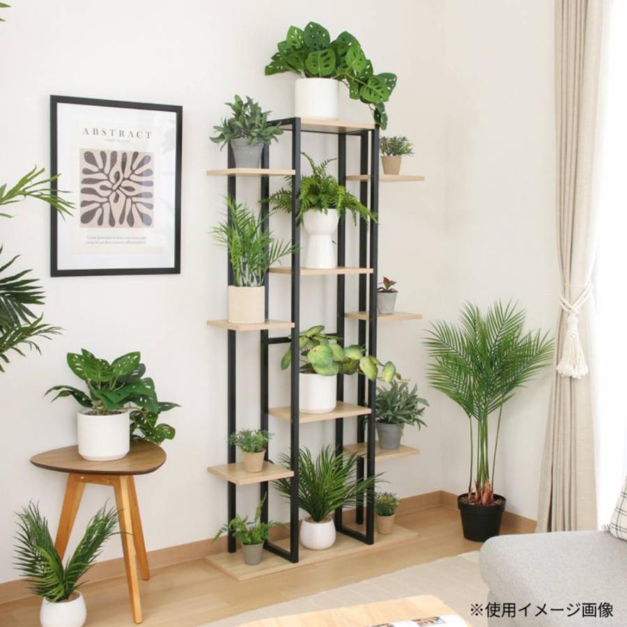 不二貿易（Fuji Boeki） ディスプレイスタンド ワイド 幅750×奥行225