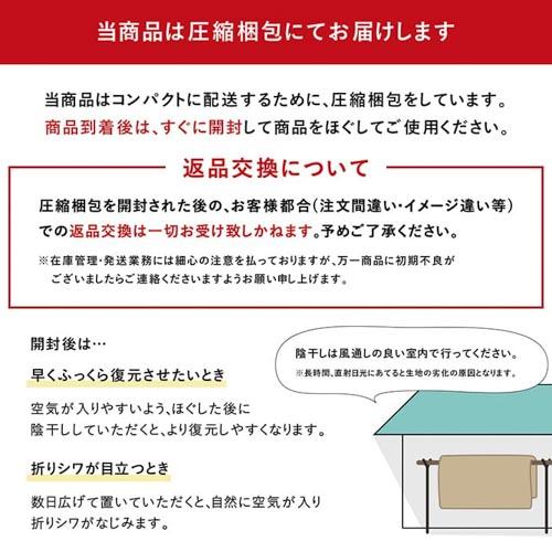 こたつ布団 イケヒコ 205×285cm 厚掛け 炬燵布団 こたつ掛け布団 掛け 綿 おしゃれ 長方形 リビング 洗える 家 日本製 モダン 和 ふっくら 保温 国産 YKR205285｜lookit｜17