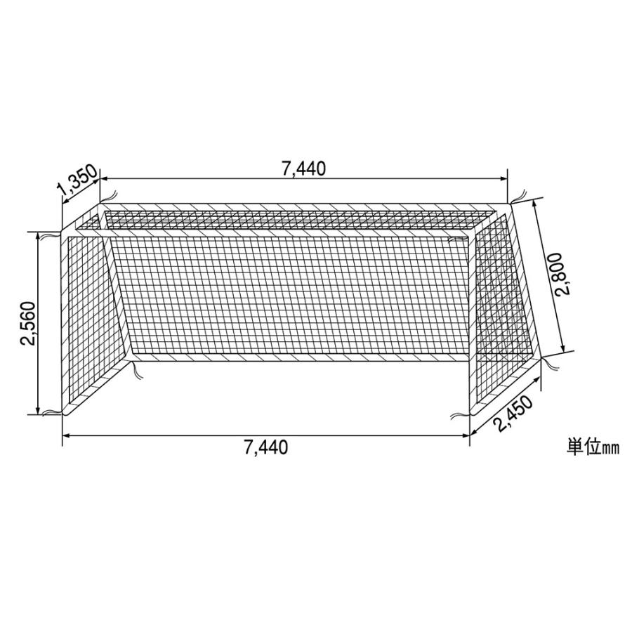 三和体育 アルミサッカーゴール 六角ネットセット 一般用 学校 体育