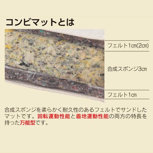 法人限定  体操マット 6cm厚 6号帆布 すべり止め付 150×600×6cm SGマーク付 運動マット 体育マット コンビマット 跳び箱 学校 体育 鉄棒 日本製 S-7853の画像
