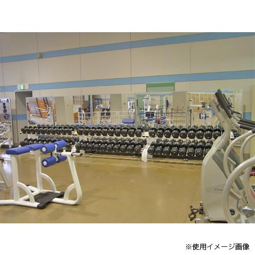 法人限定 スポーツミラー キャスター付き 可動式 巨大ミラー スタンド