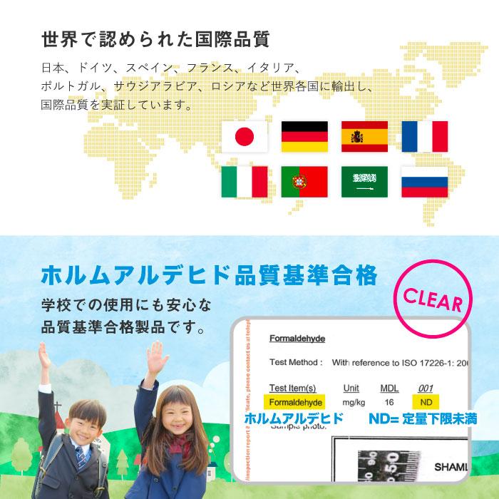 プラスチックロッカー 1人用 ロッカー 1列1段 宅配ボックス シューズロッカー 水洗い シューズボックス 学校 プール 水に強い 屋外 簡易ロッカー 連結 A-390M-11の画像