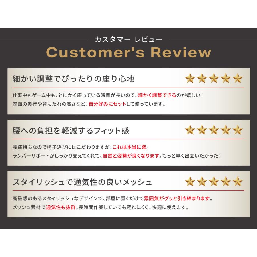 オフィスチェア メッシュ デスクチェア 肘付 ランバーサポート パソコンチェア ワークチェア 事務椅子 高機能チェア PCチェア メッシュチェア チェア 在宅 DP-1