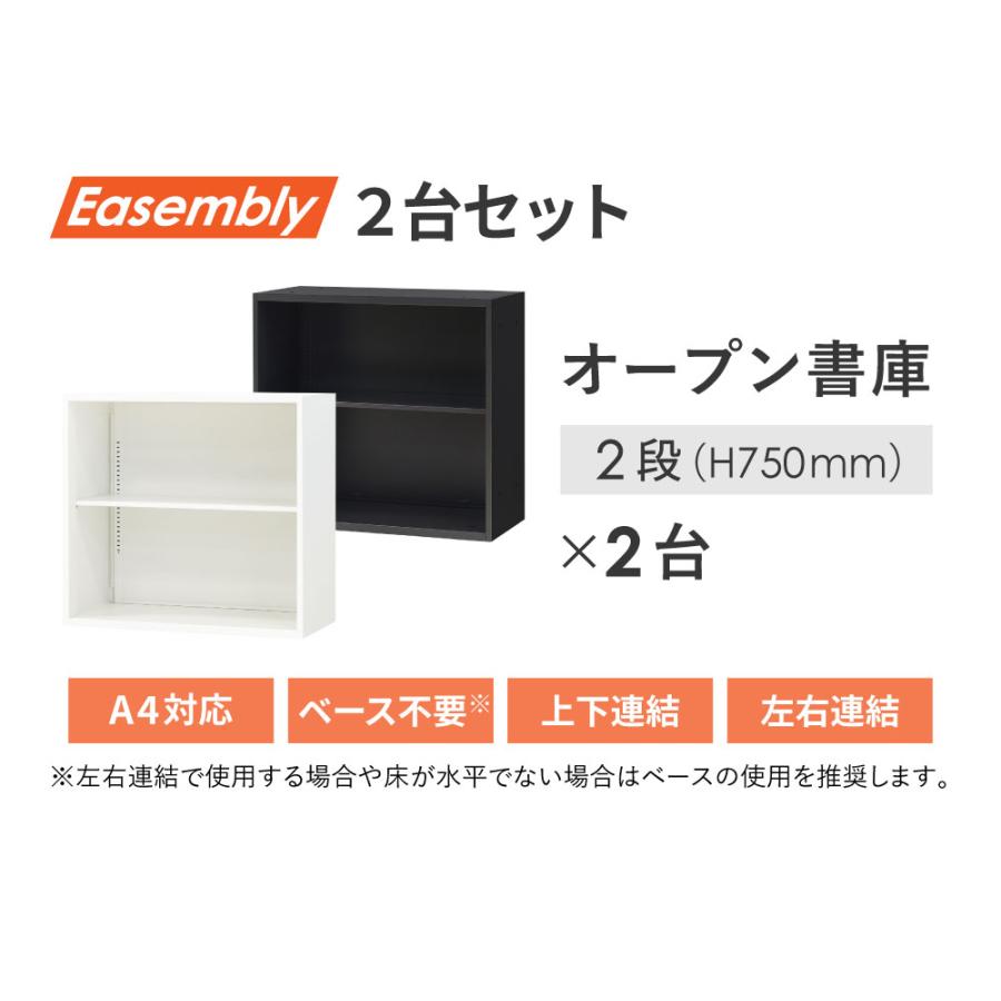 2台セット 2段 スチール書庫 キャビネット オフィス収納 システム収納庫 本棚 書棚 スチール A4 ホワイト ブラック EA-8040-2N2N 【開キ】