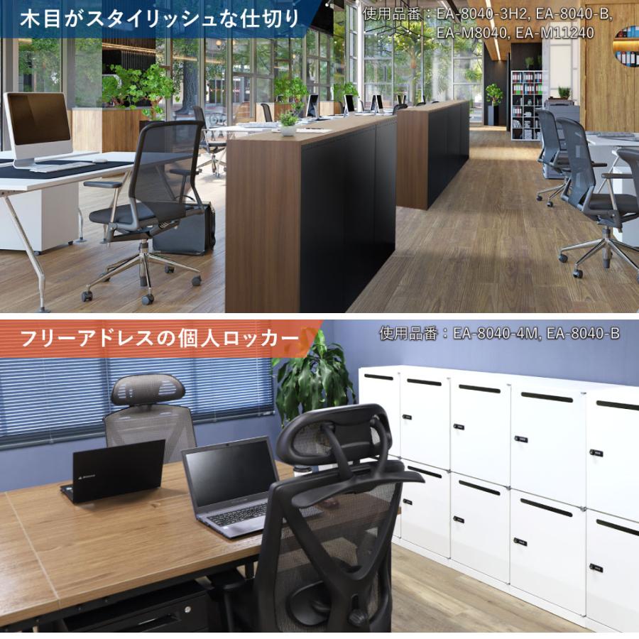 2台セット 2段 スチール書庫 キャビネット オフィス収納 システム収納庫 本棚 書棚 スチール A4 ホワイト ブラック EA-8040-2N2N 【開キ】