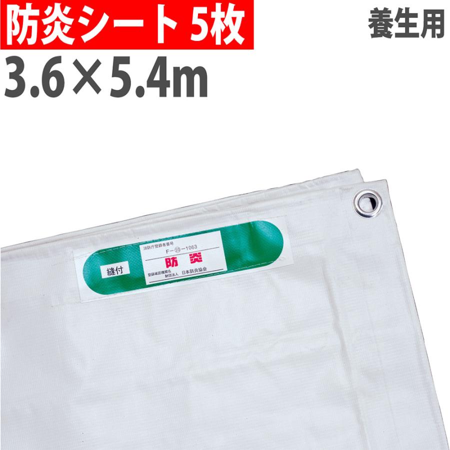 法人限定 防炎シート 3.6×5.4m 450P #19 5枚セット 足場シート 防炎 