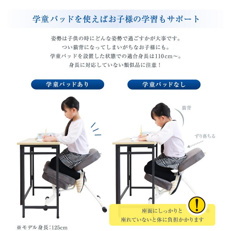 ルネセイコウ バランスチェア 幅440×奥行670×高さ485mm セブン ルネセイコウ バランスチェア 幅440×奥行670×高さ485mm セブン