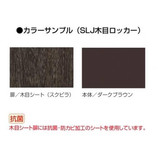 ロッカー 3人用 木目 更衣ロッカー 鍵付きロッカー 業務用ロッカー コイン式ロッカー スポーツ施設 コインリターン錠 (木目扉タイプ) 抗菌 防カビ SLJ-3M-RBK_2