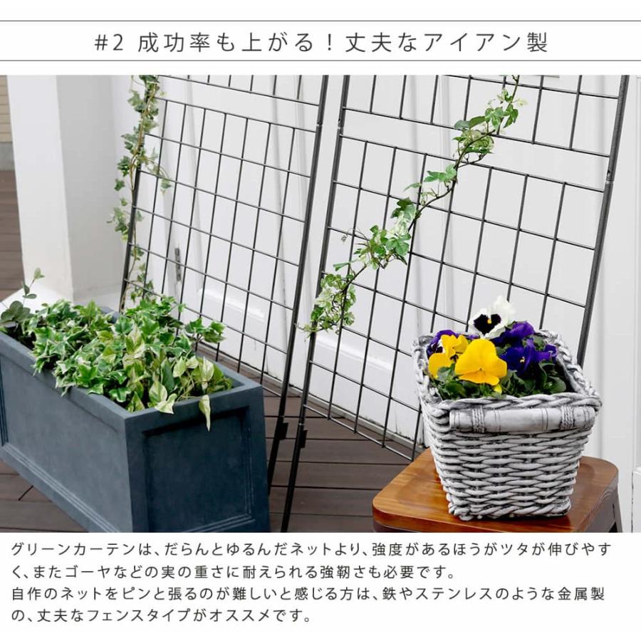 グリーンカーテン ハイタイプ グリーンフェンス 緑のカーテン
