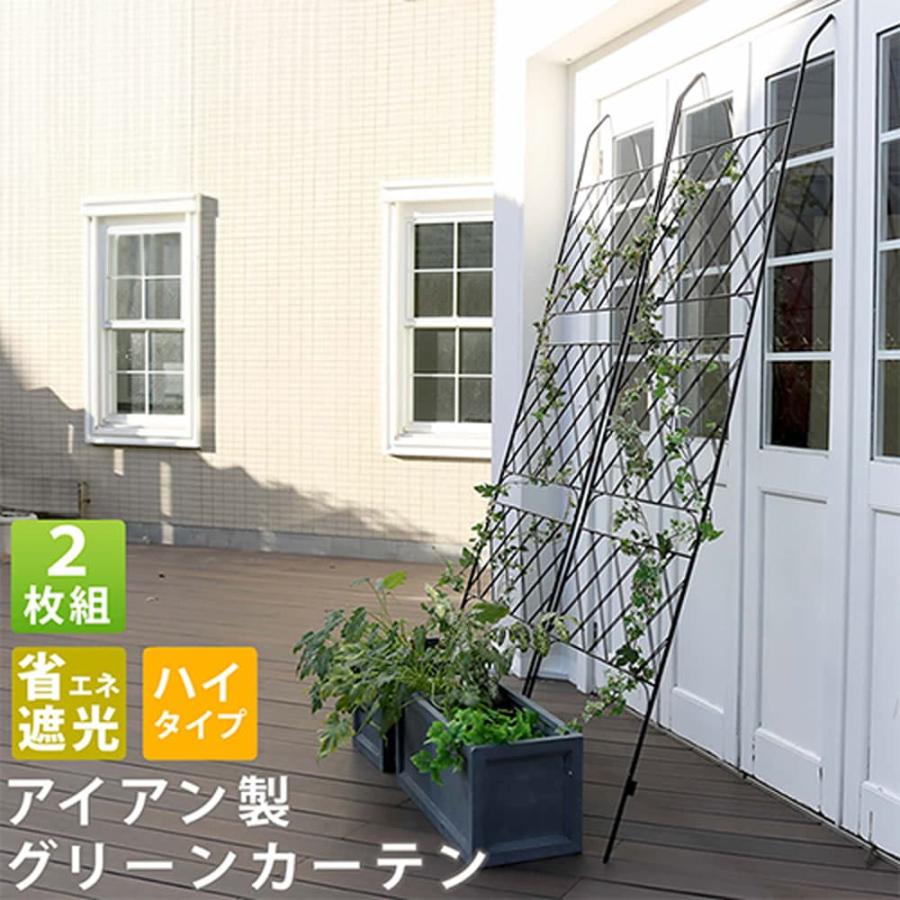 パーフェクトペテンシー　2枚 ブリーデン スクイッドウィックゲーム スペシメン 86''3T