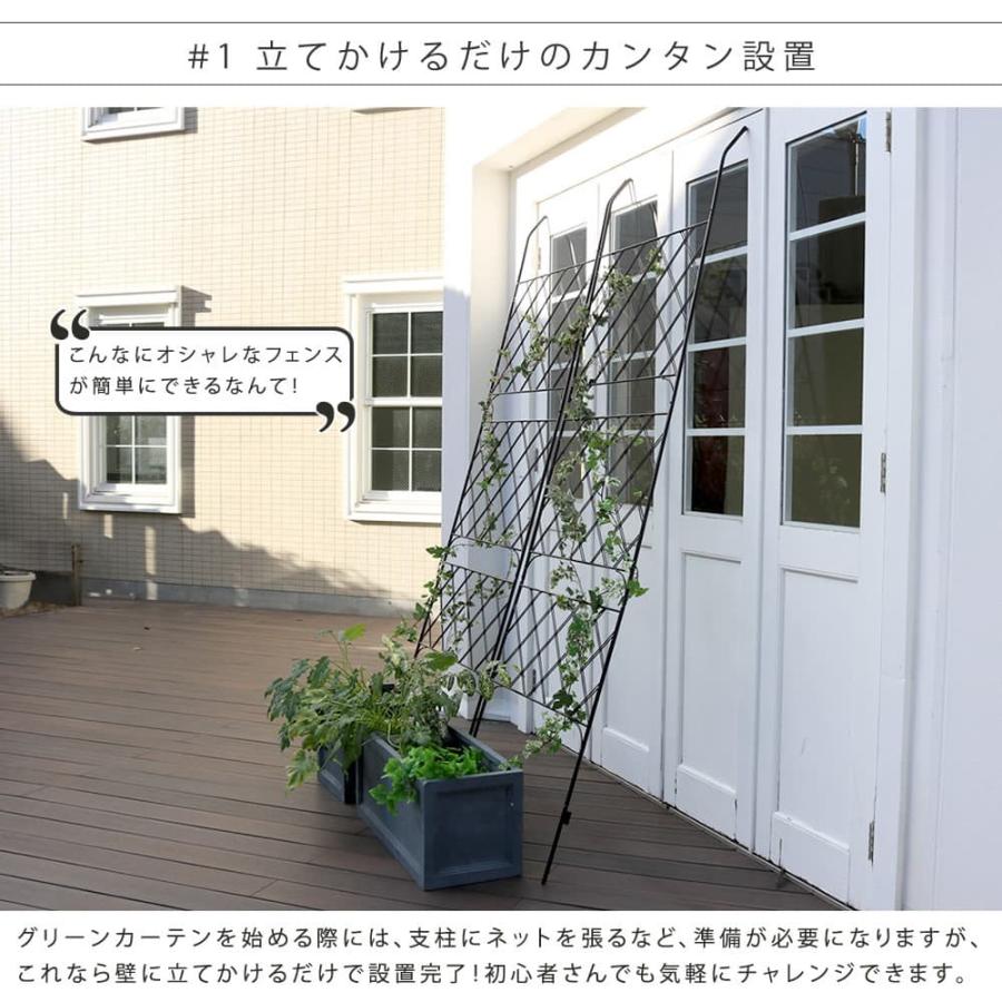 2枚組 ハイタイプ グリーンフェンス 緑のカーテン シェード 日よけ 日陰 ベランダ バルコニー 目隠し アイアン 植物 【段々】 おしゃれ IFGC011-2P-BLK