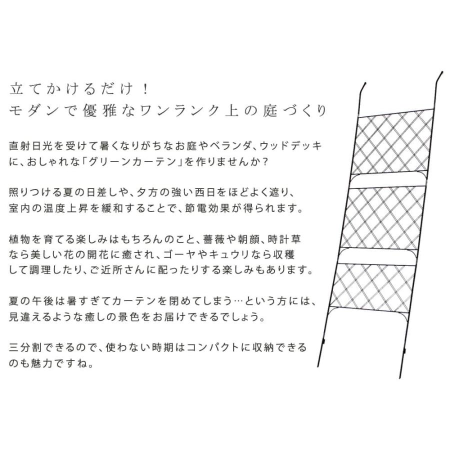 2枚組 ハイタイプ グリーンフェンス 緑のカーテン シェード 日よけ 日陰 ベランダ バルコニー 目隠し アイアン 植物 【段々】 おしゃれ IFGC011-2P-BLK