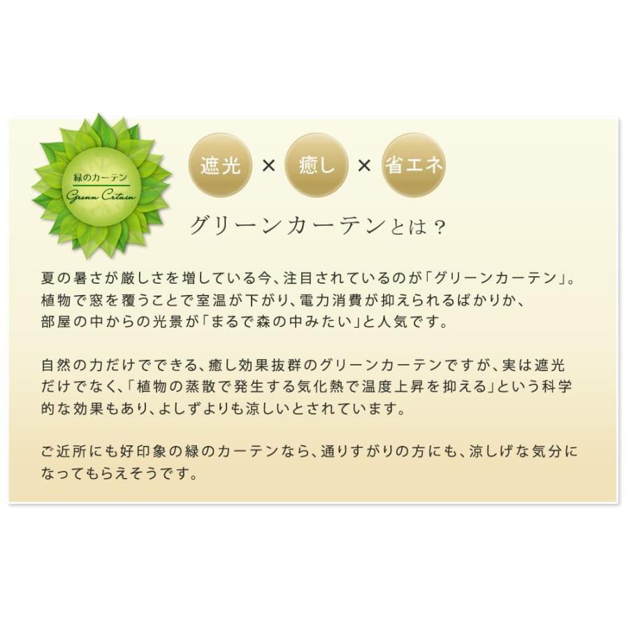 2枚組 ハイタイプ グリーンフェンス 緑のカーテン シェード 日よけ 日陰 ベランダ バルコニー 目隠し アイアン 植物 【段々】 おしゃれ IFGC011-2P-BLK