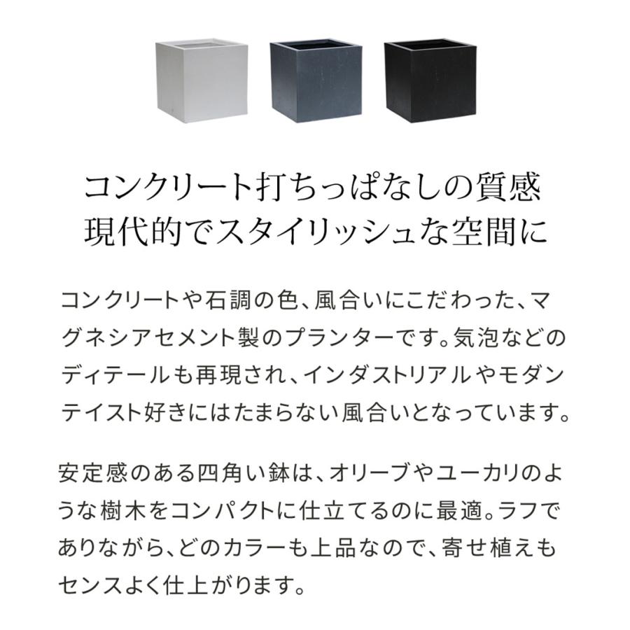 鉢 マグネシアセメント 角型 幅40cm プランター 植木鉢 鉢カバー プランターカバー 正方形 大型 屋外 寄せ植え ガーデニング 園芸用品 おしゃれ モダン TEX-400Cの画像