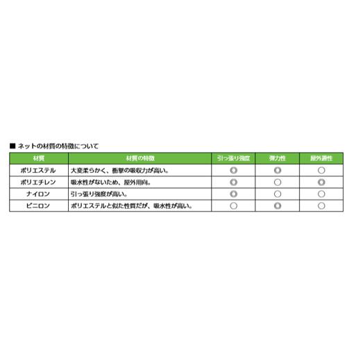 TOEI LIGHT（トーエイライト） ジュニアサッカーゴールネット 2張1組