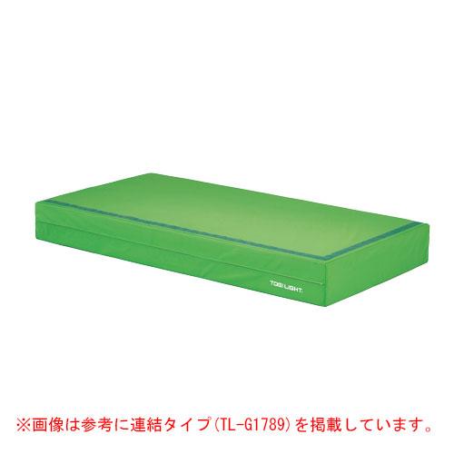 TOEI LIGHT（トーエイライト） 法人限定 屋内用カラーマット20 幅90×長