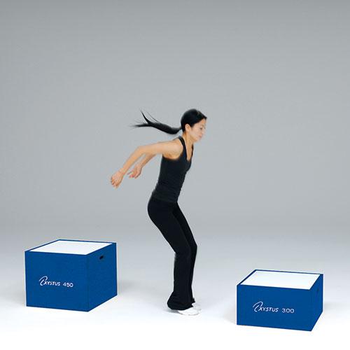 TOEI LIGHT（トーエイライト） 法人限定 ジャンプ台 ボックスジャンプ