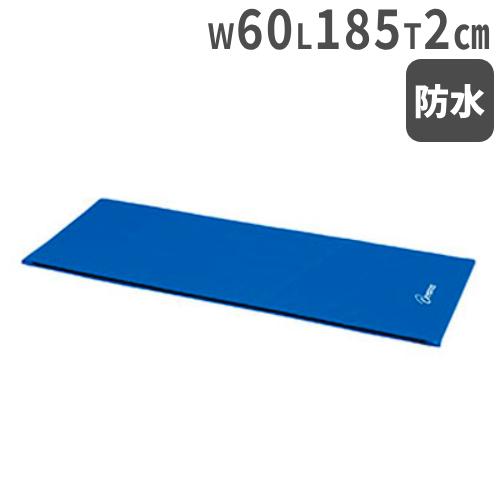 TOEI LIGHT（トーエイライト） soldout 法人限定 トレーニングマット