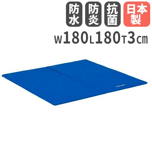 4枚)フィットネスマット180【TOEI LIGHT】｜Oandatransportation.com