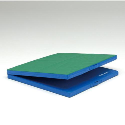 TOEI LIGHT（トーエイライト） 法人限定 スポーツマット 折りたたみ