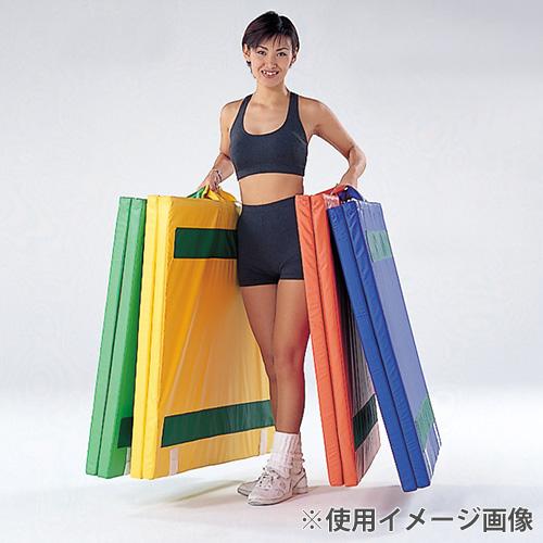 TOEI LIGHT（トーエイライト） 法人限定 体操マット 抗菌 防災 防水 