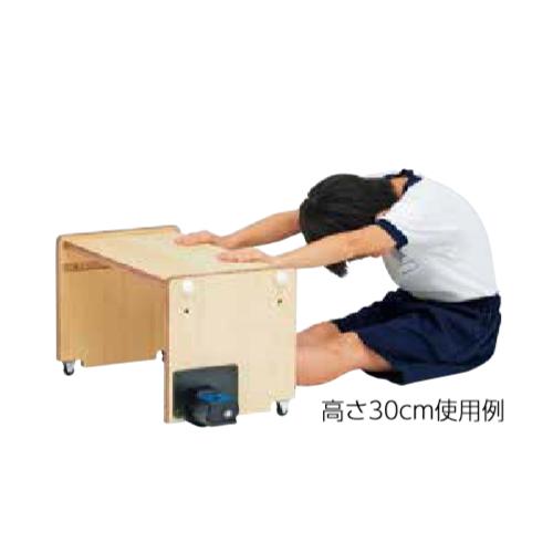 TOEI LIGHT（トーエイライト） 法人限定 長座体前屈測定器 前屈測定器