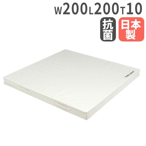 TOEI LIGHT（トーエイライト） 法人限定 柔道用投込みマット 幅200×長 