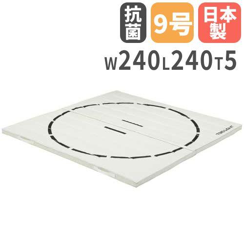TOEI LIGHT（トーエイライト） 法人限定 土俵 相撲マット 連結式 240