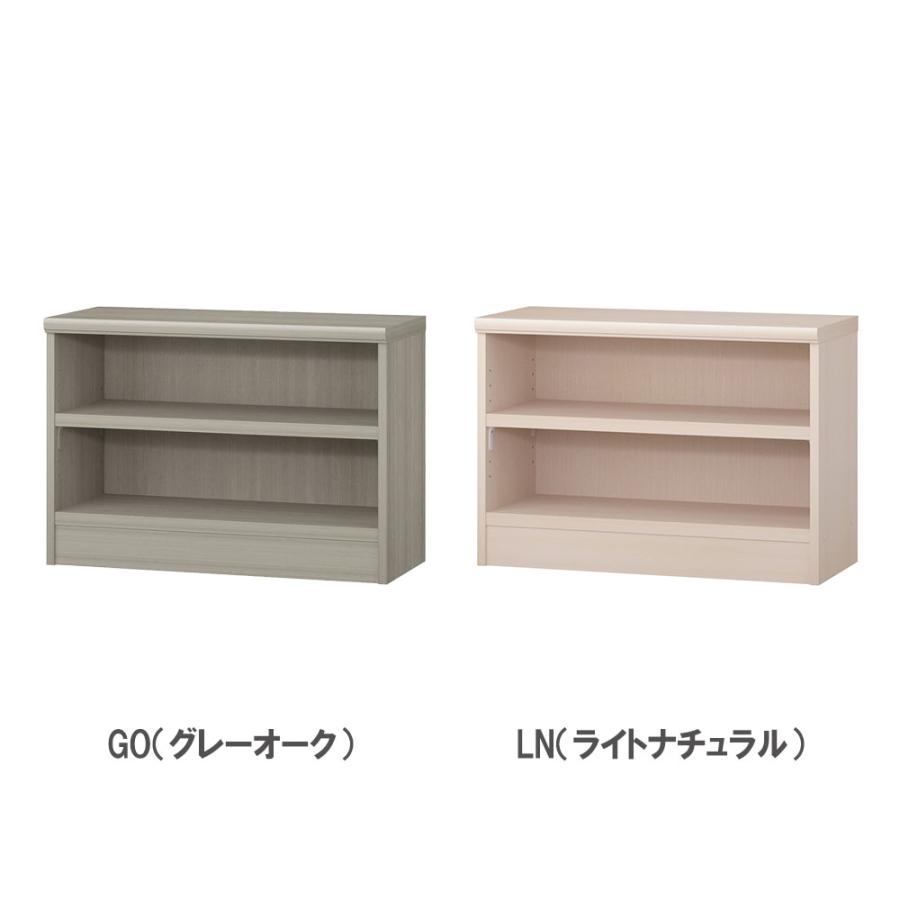 オーダー本棚 幅60-70×奥行31×高さ49cm タフ 書庫 書棚 オープン書庫 オフィス収納 キャビネット おしゃれ 北欧 オーダーメイド サイズオーダー T5060-70R_10